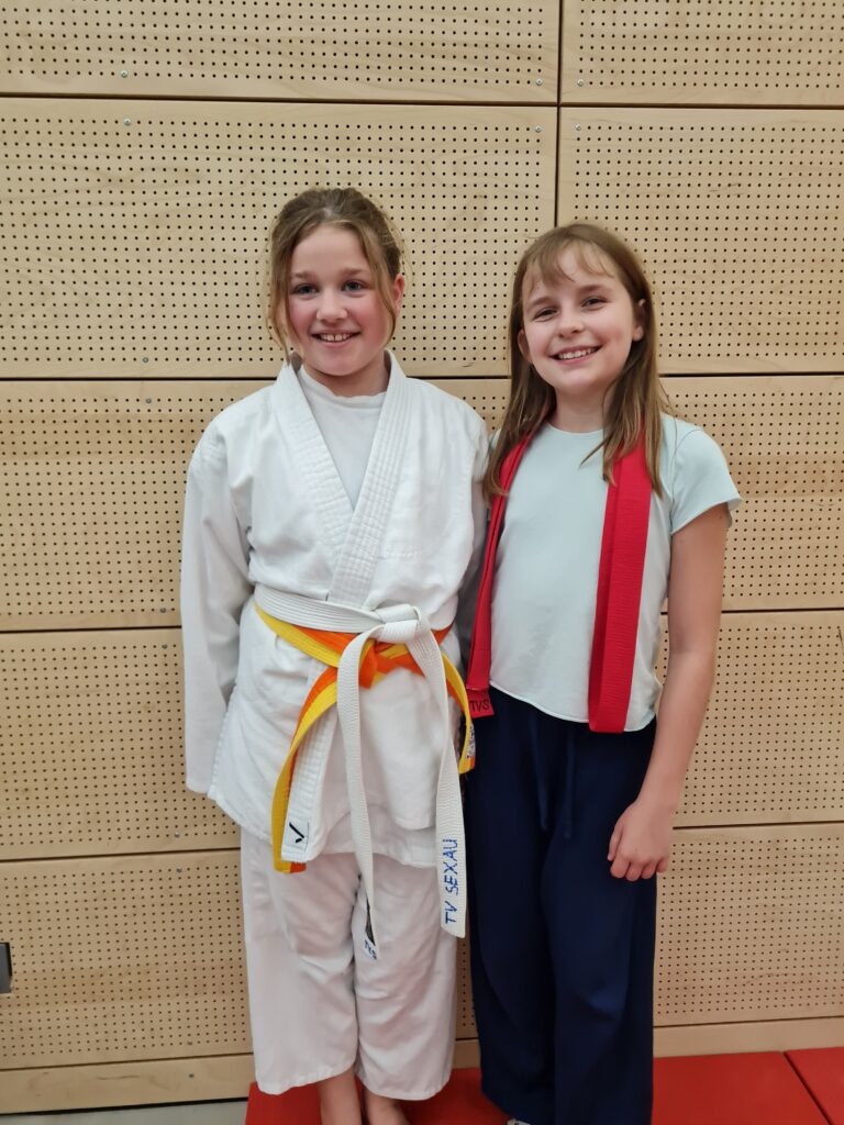 Judo: Platz 7 bei BW-Einzelmeisterschaft für TV Sexau