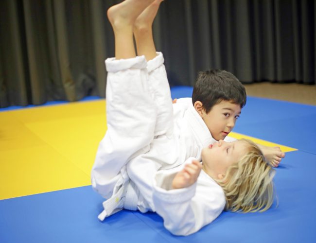 Judo 2 Promo 4